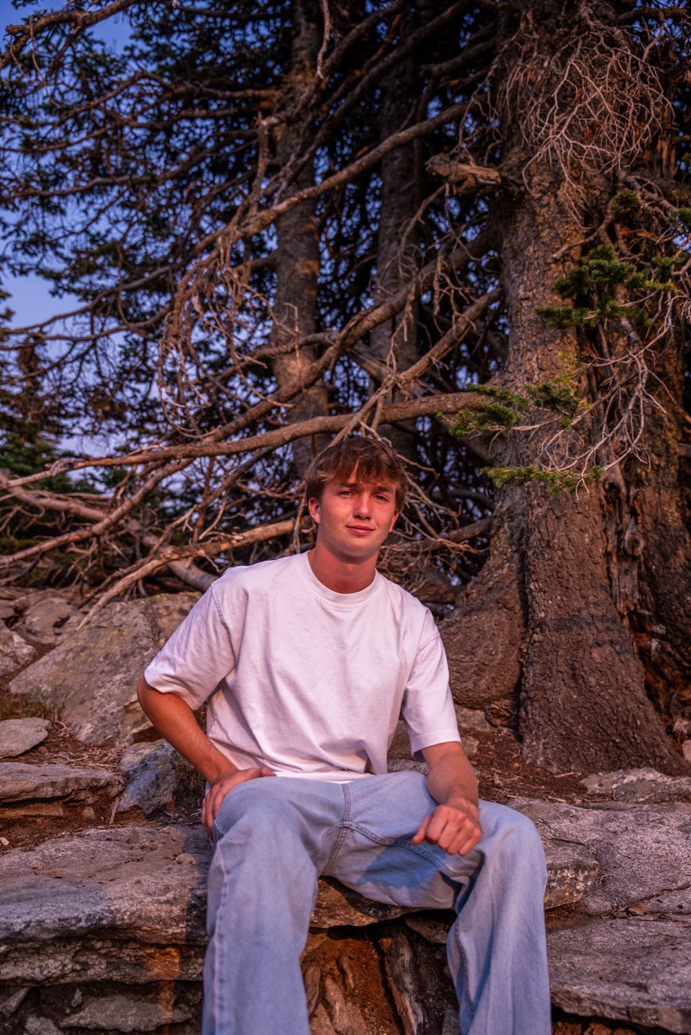 Cole Harvey